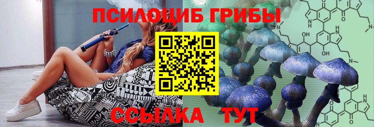 Псилоцибиновые грибы Psilocybine cubensis Чехов