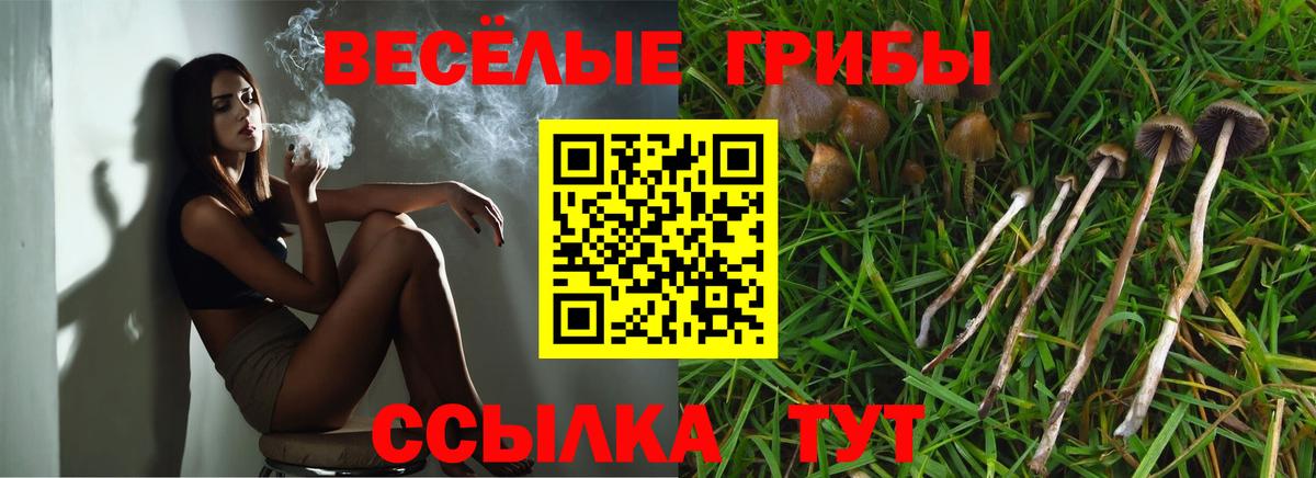 Галлюциногенные грибы мицелий  Вход с VPN  Чехов 